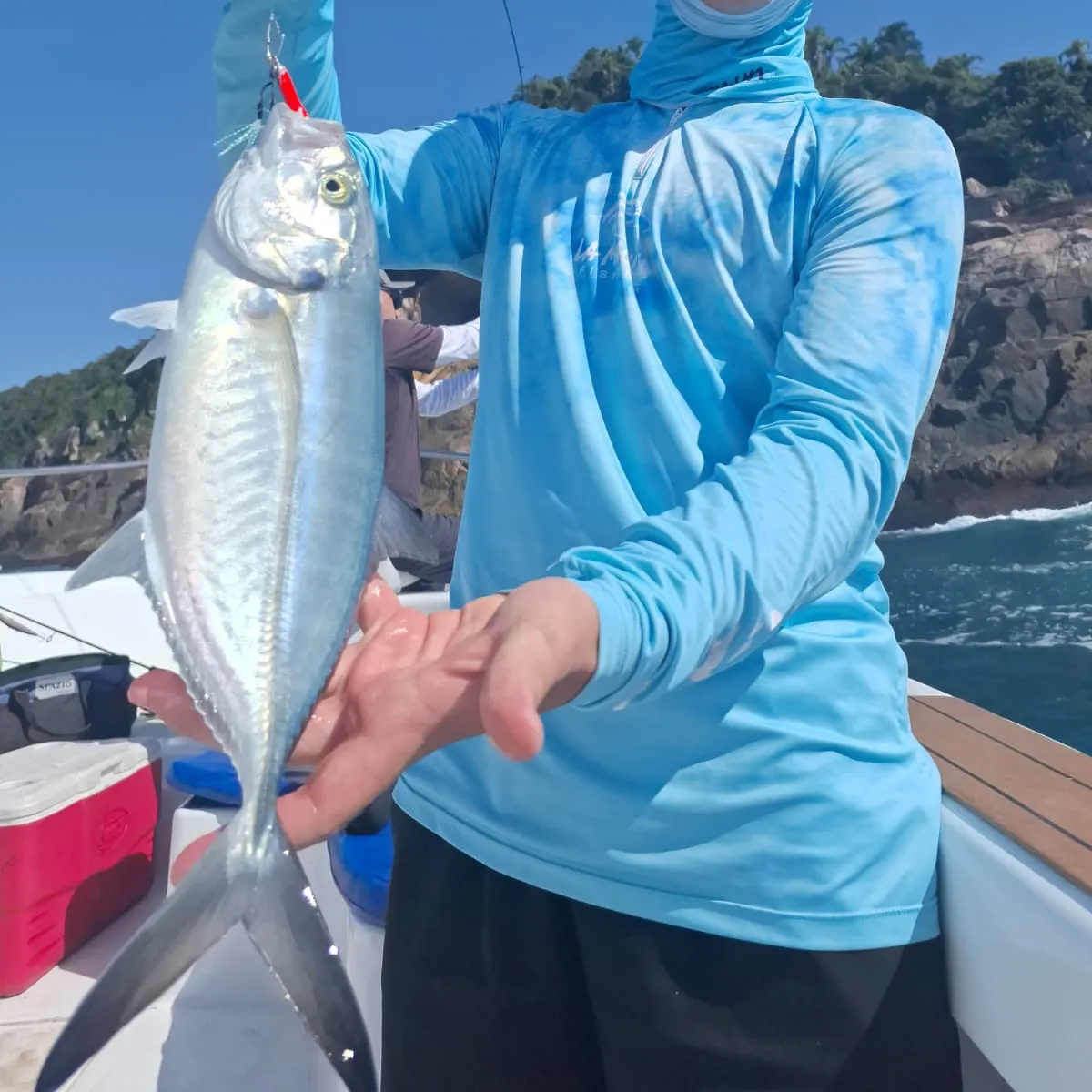 The most recent Bludger catches on Fishbrain