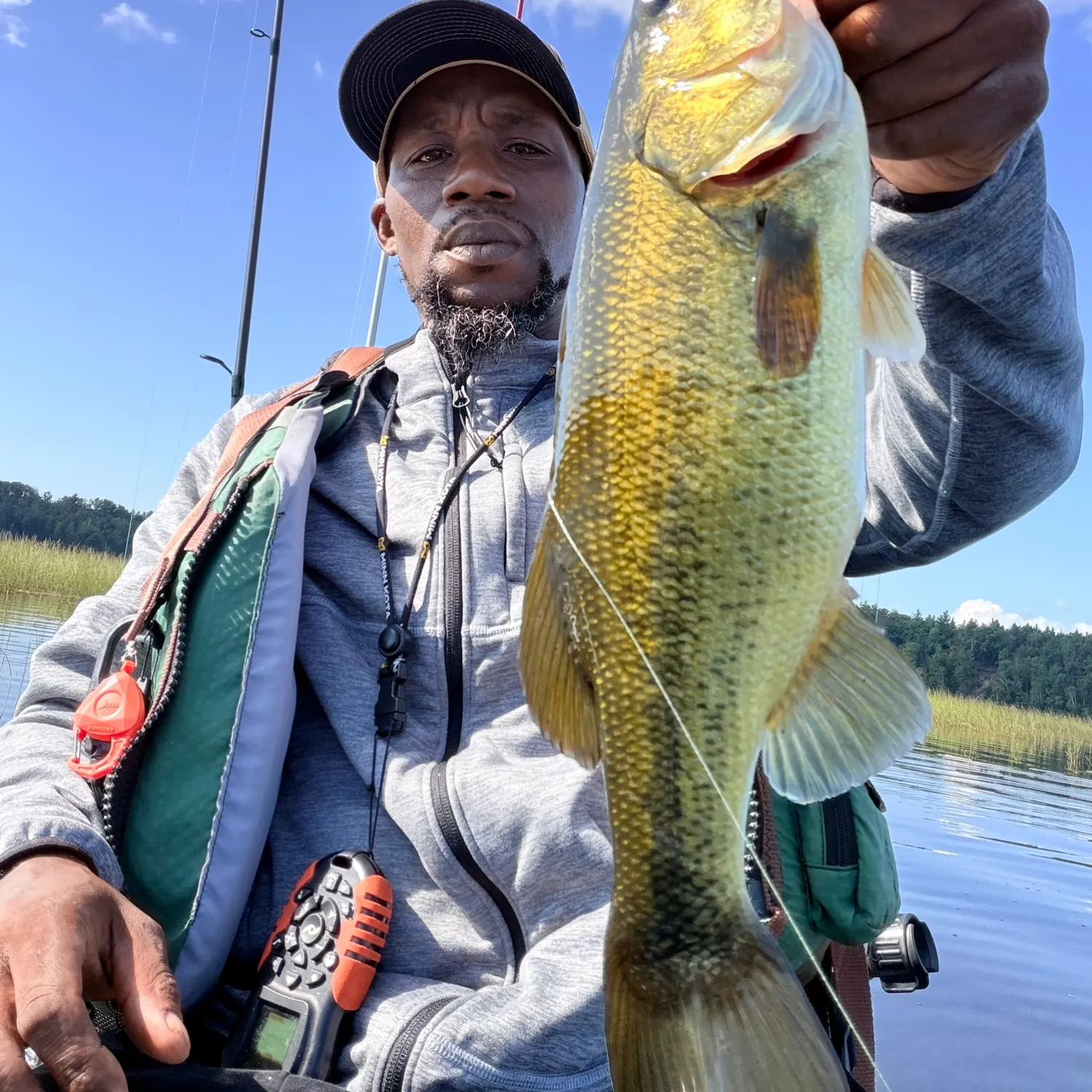 Largemouth bass caught on Fishbrain