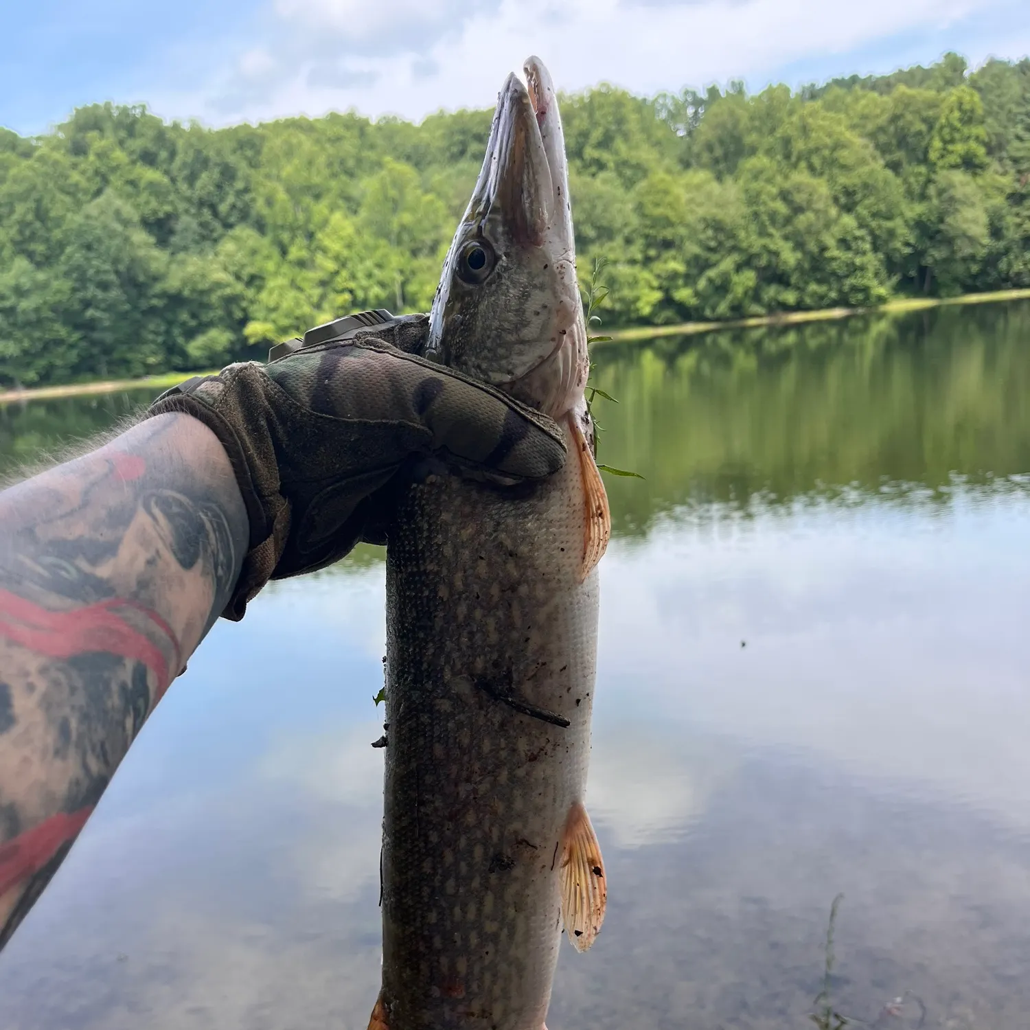catch