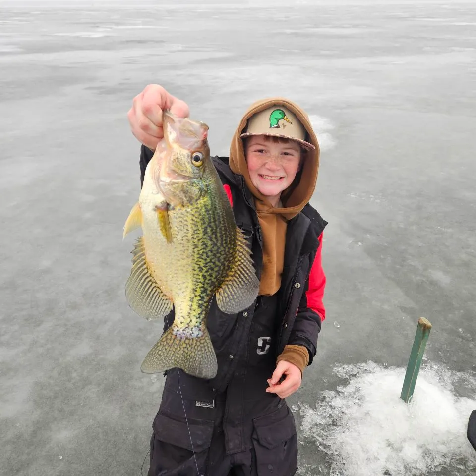 The most recent Black crappie catches on Fishbrain