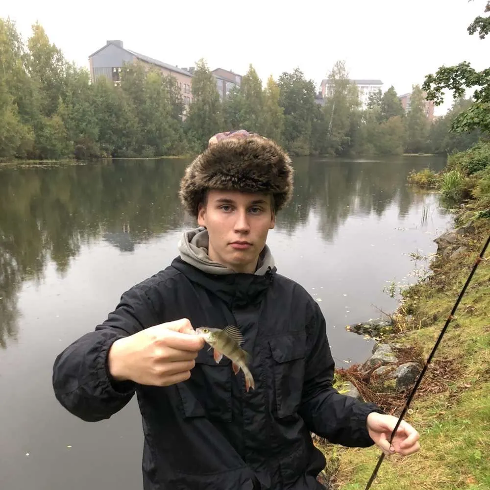 European perch caught on Fishbrain