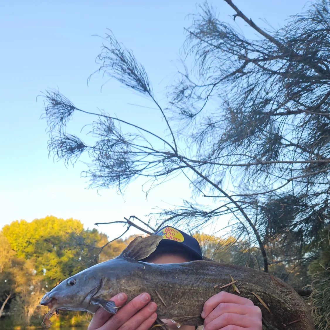 Dewfish caught on Fishbrain