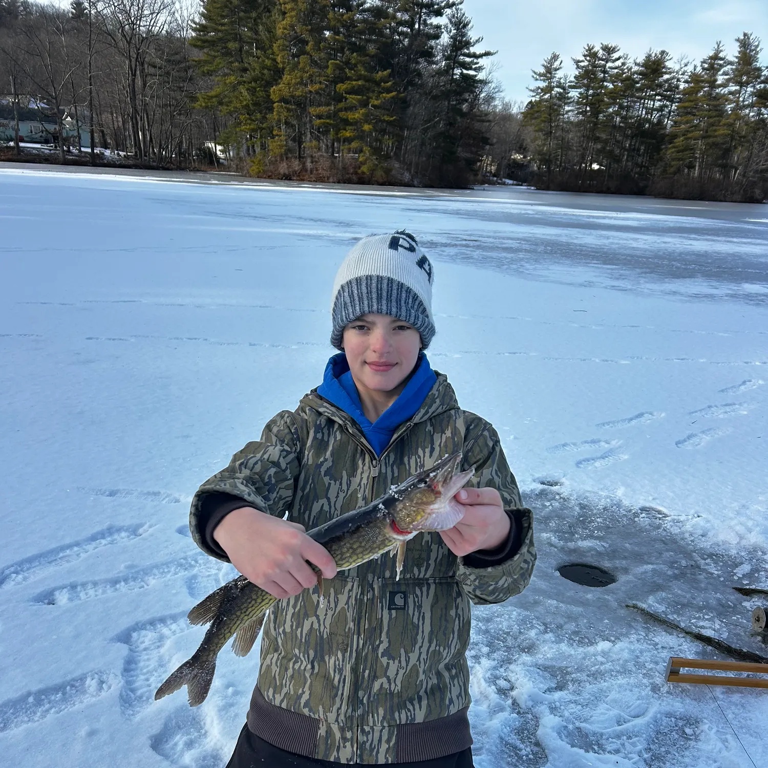The most recent Chain pickerel catches on Fishbrain