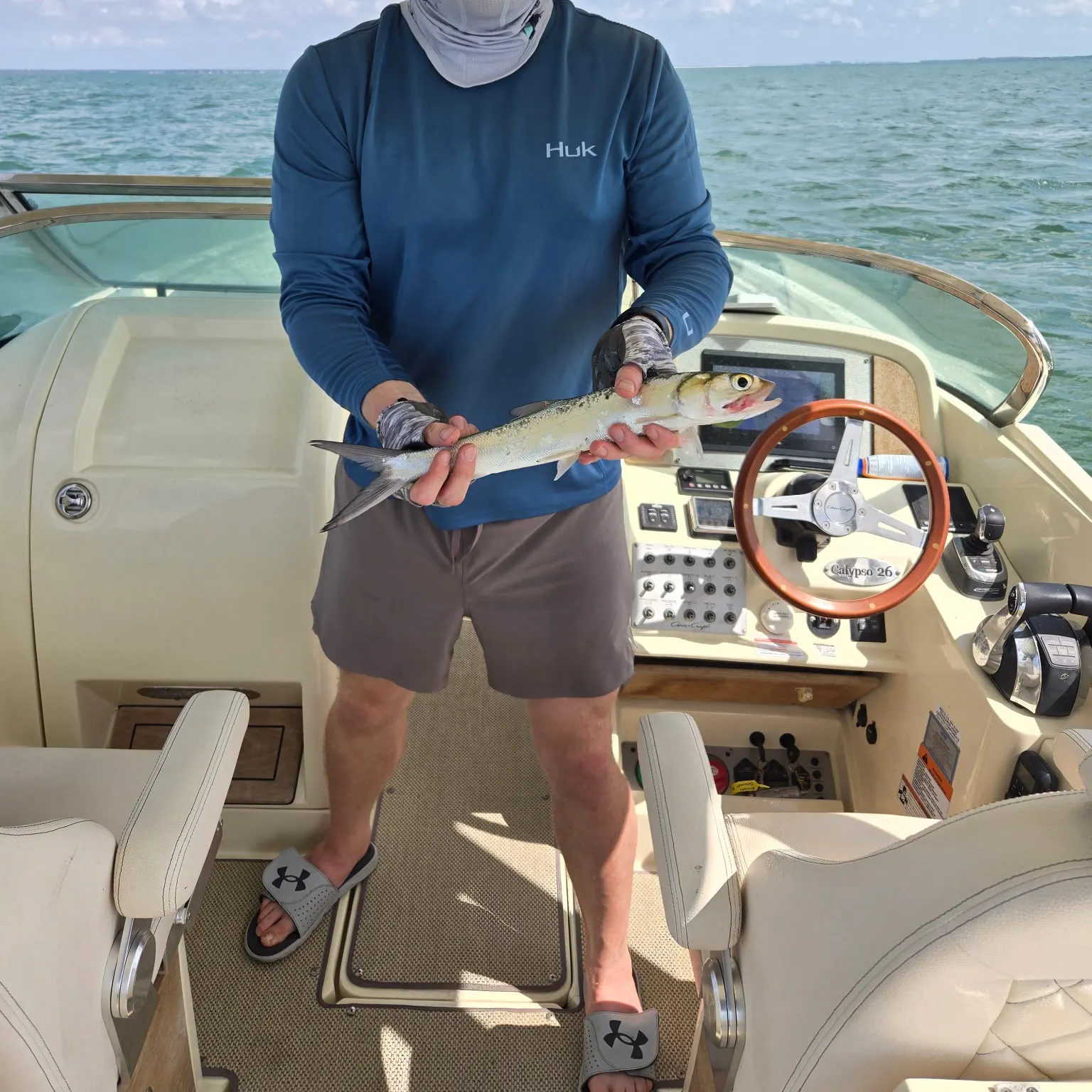 The most recent Ladyfish catches on Fishbrain