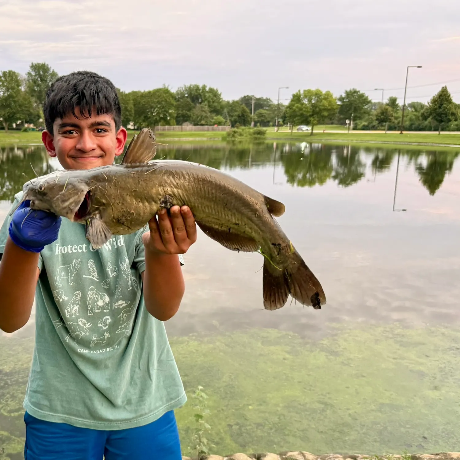 Channel catfish caught on Fishbrain