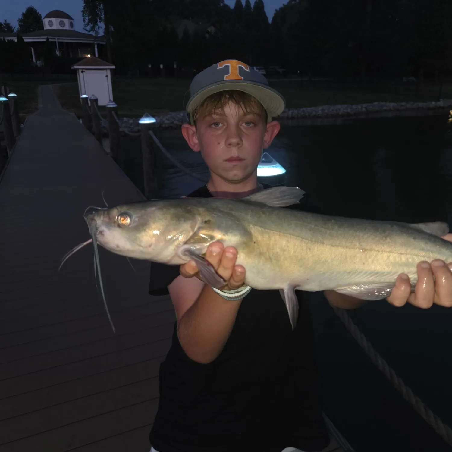 Channel catfish caught on Fishbrain