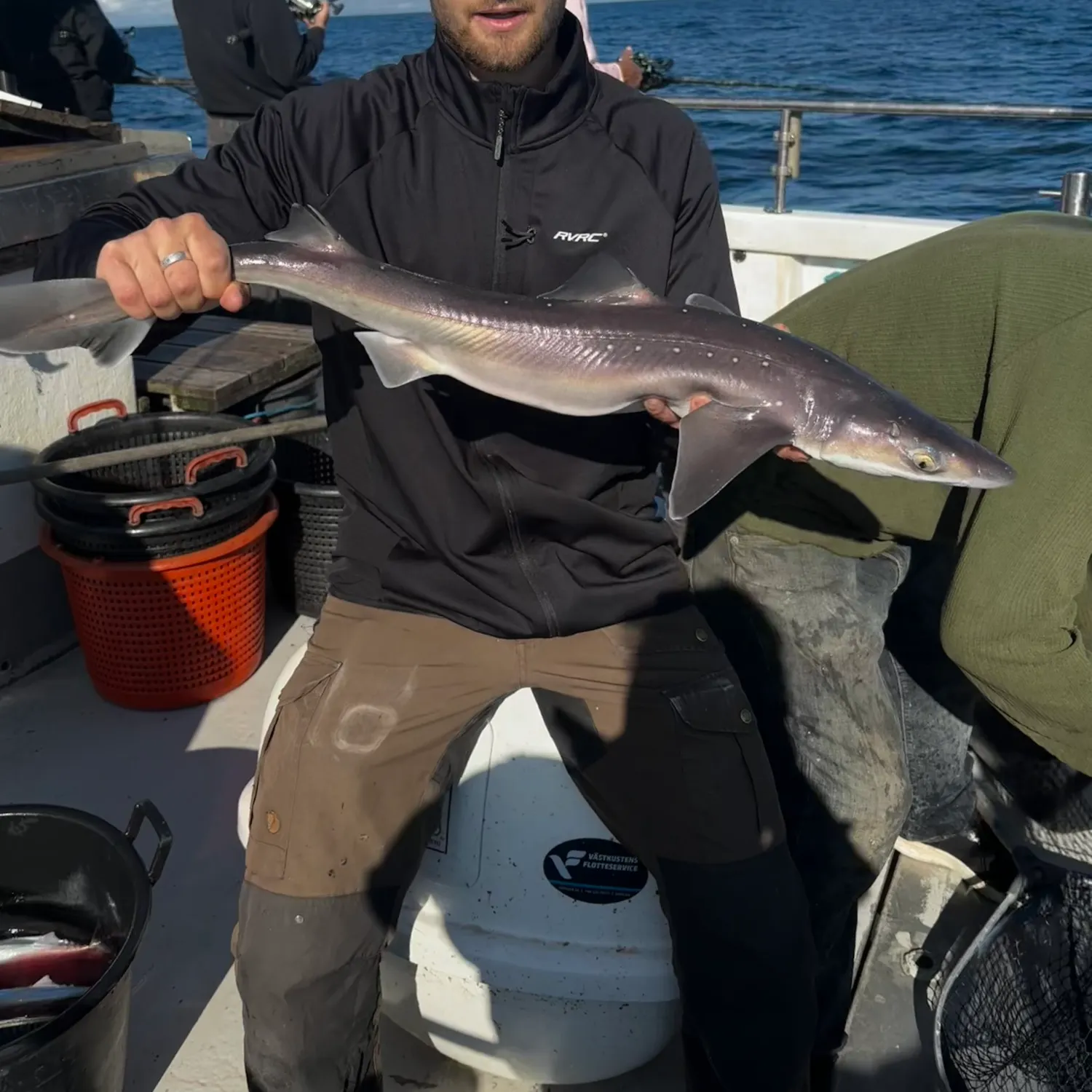 Piked dogfish caught on Fishbrain