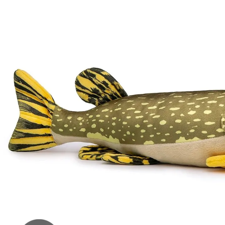 Northern pike caught on Fishbrain