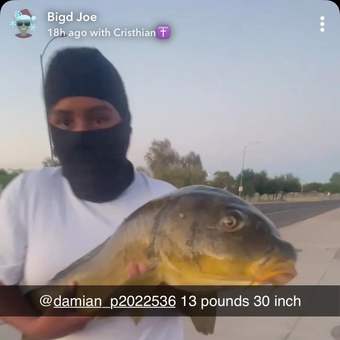 recently logged catches