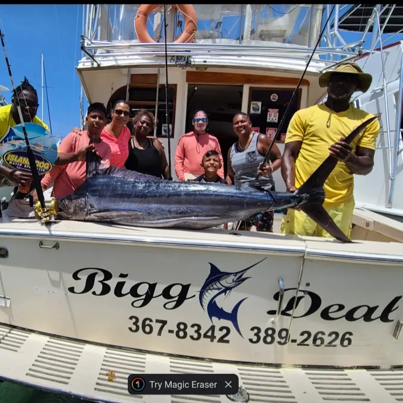 The most popular recent Indo-Pacific blue marlin catch on Fishbrain