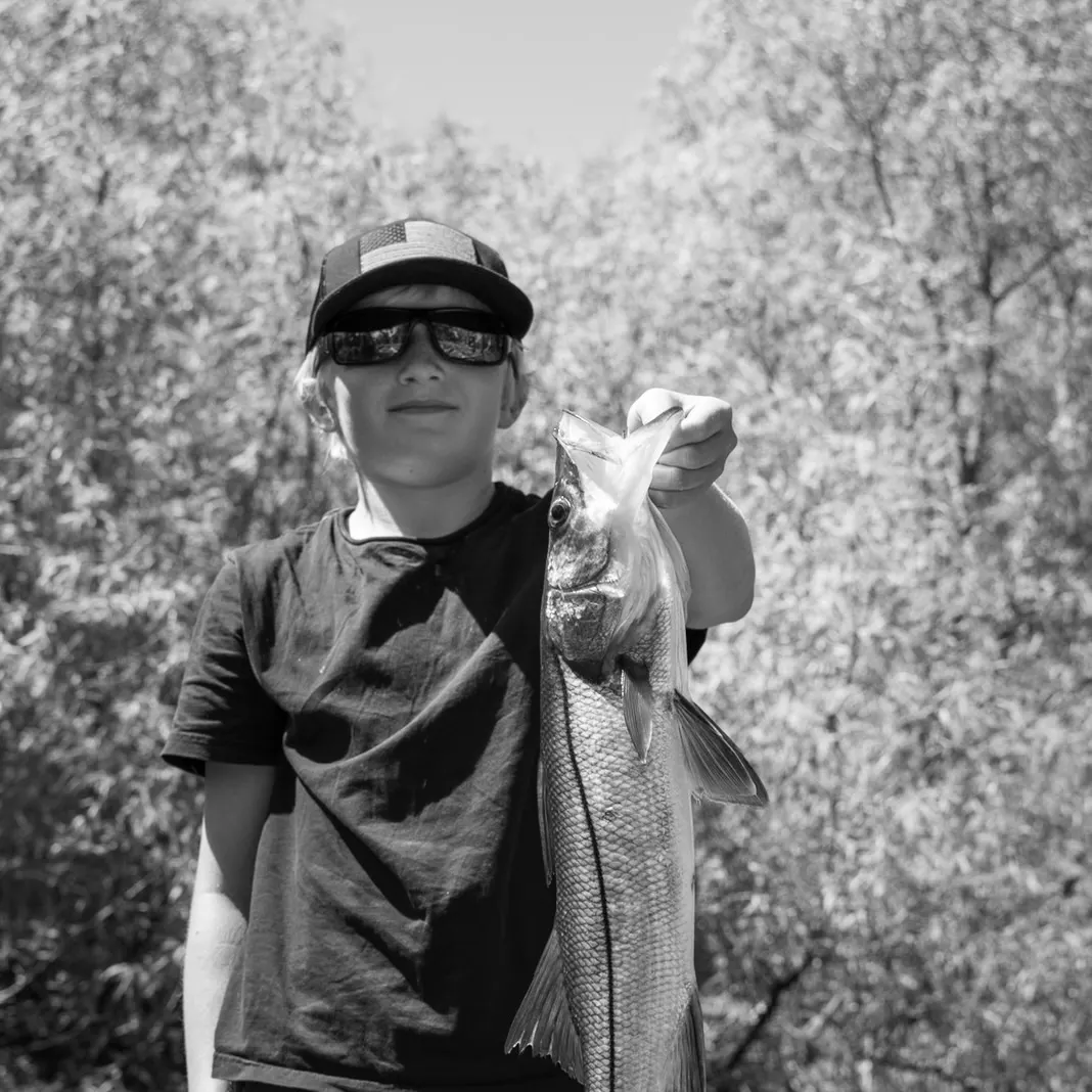 The most recent Common snook catches on Fishbrain