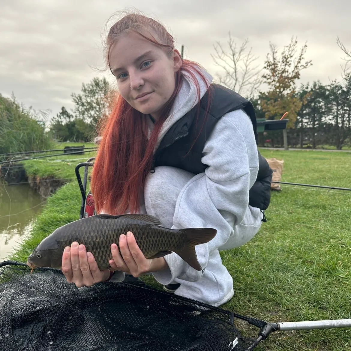 Common carp caught on Fishbrain