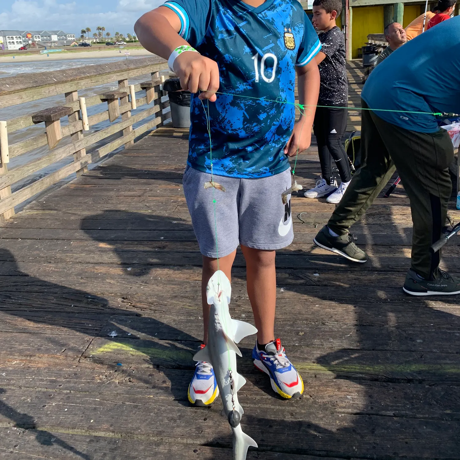 The most recent Bonnethead shark catches on Fishbrain