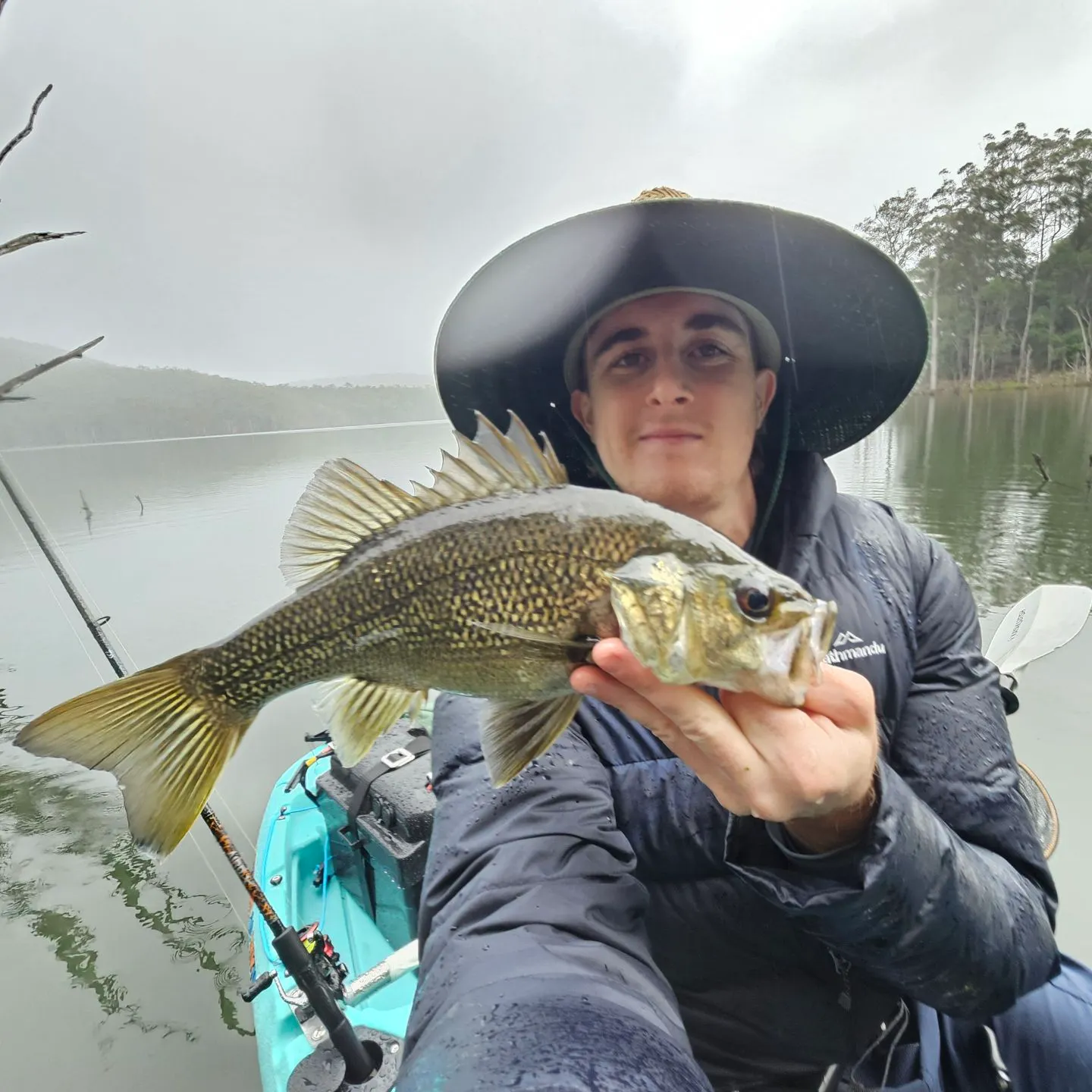 The most recent Australian bass catches on Fishbrain