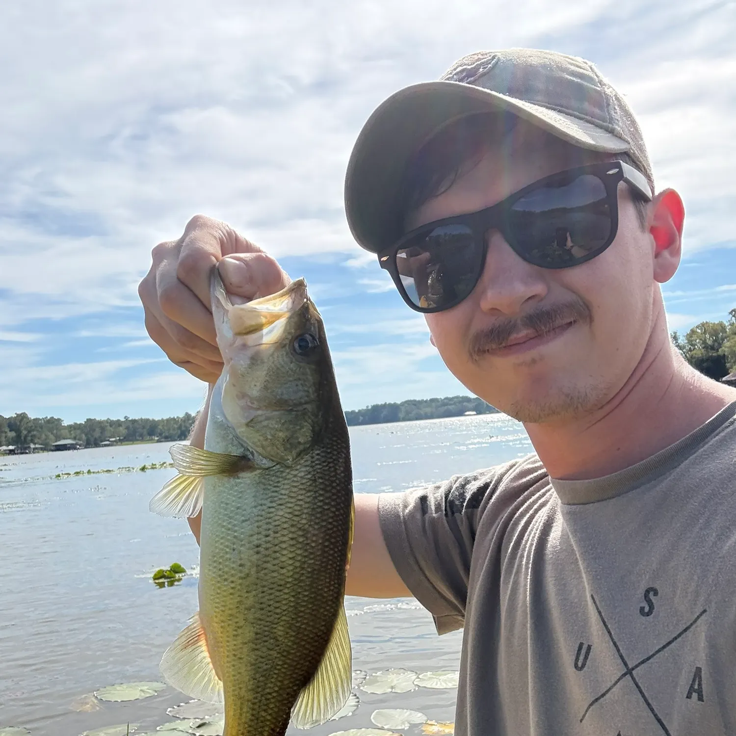 Largemouth bass caught on Fishbrain
