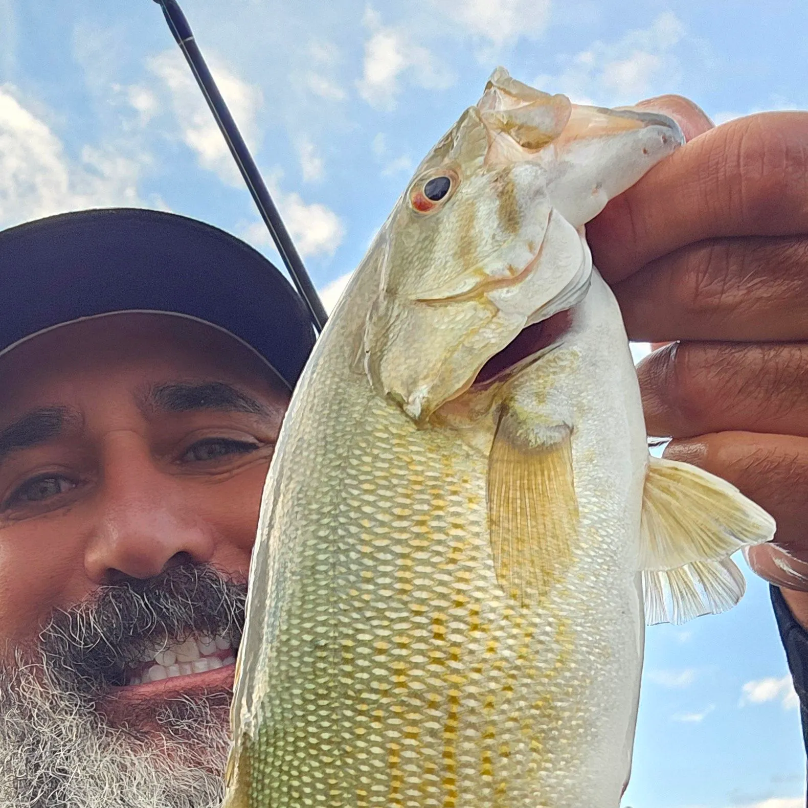 Smallmouth bass caught on Fishbrain