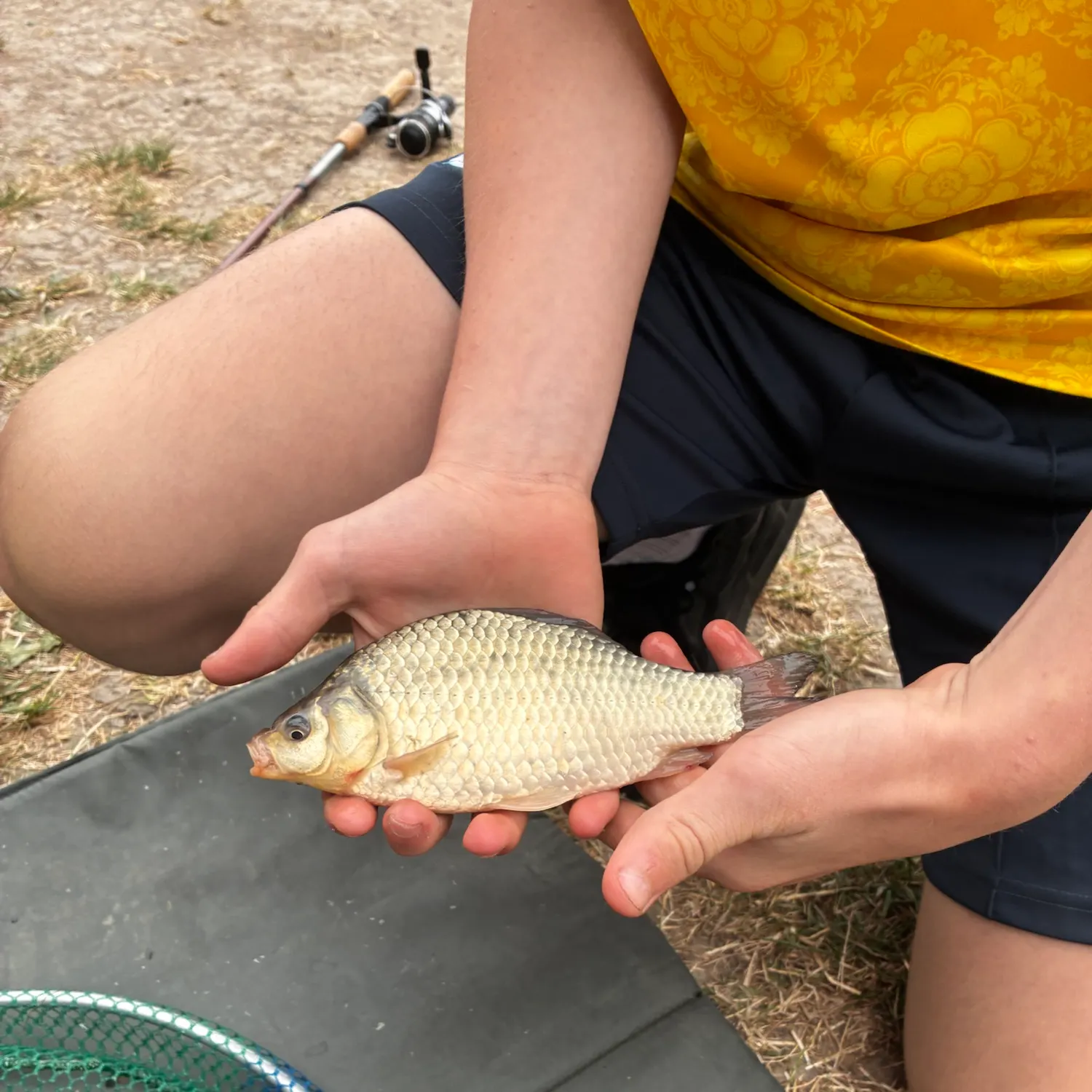 The most recent F1 carp catches on Fishbrain