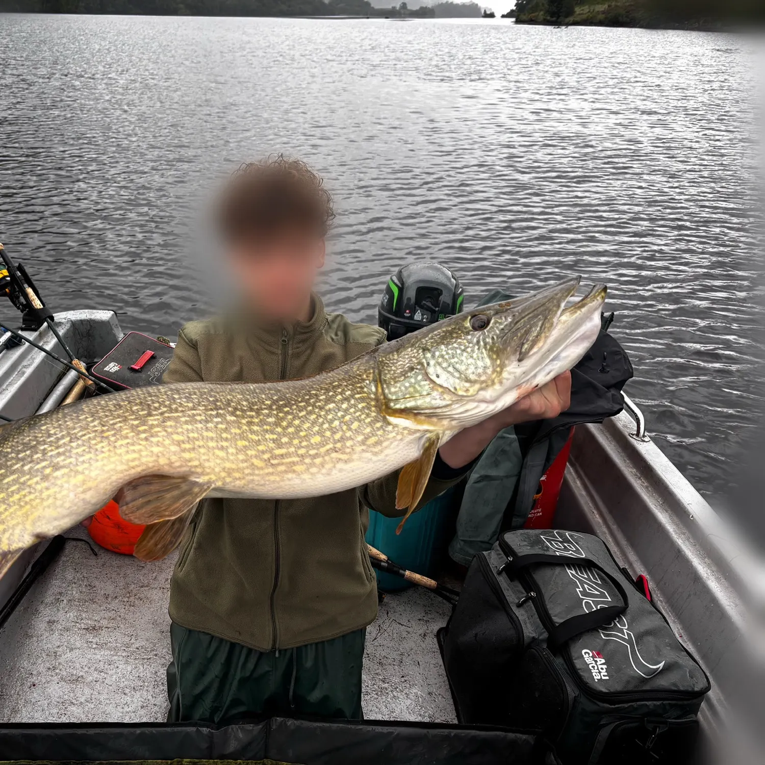 Northern pike caught on Fishbrain