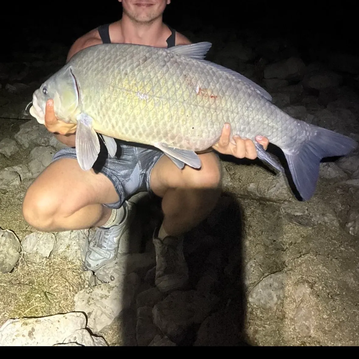 The most recent Bigmouth buffalo catches on Fishbrain