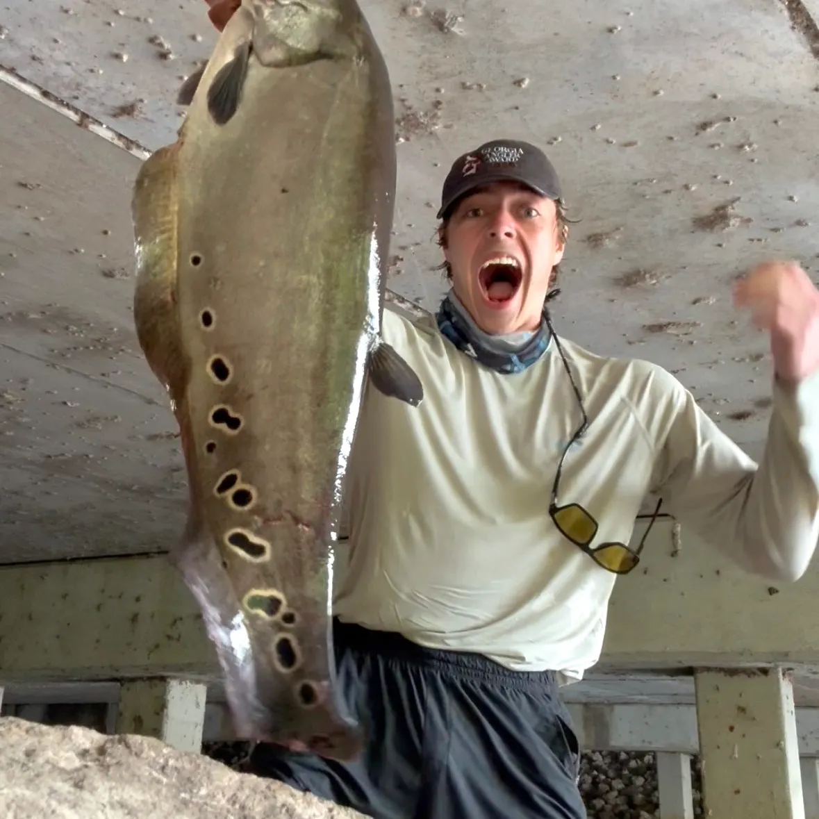 The most recent Clown knifefish catches on Fishbrain