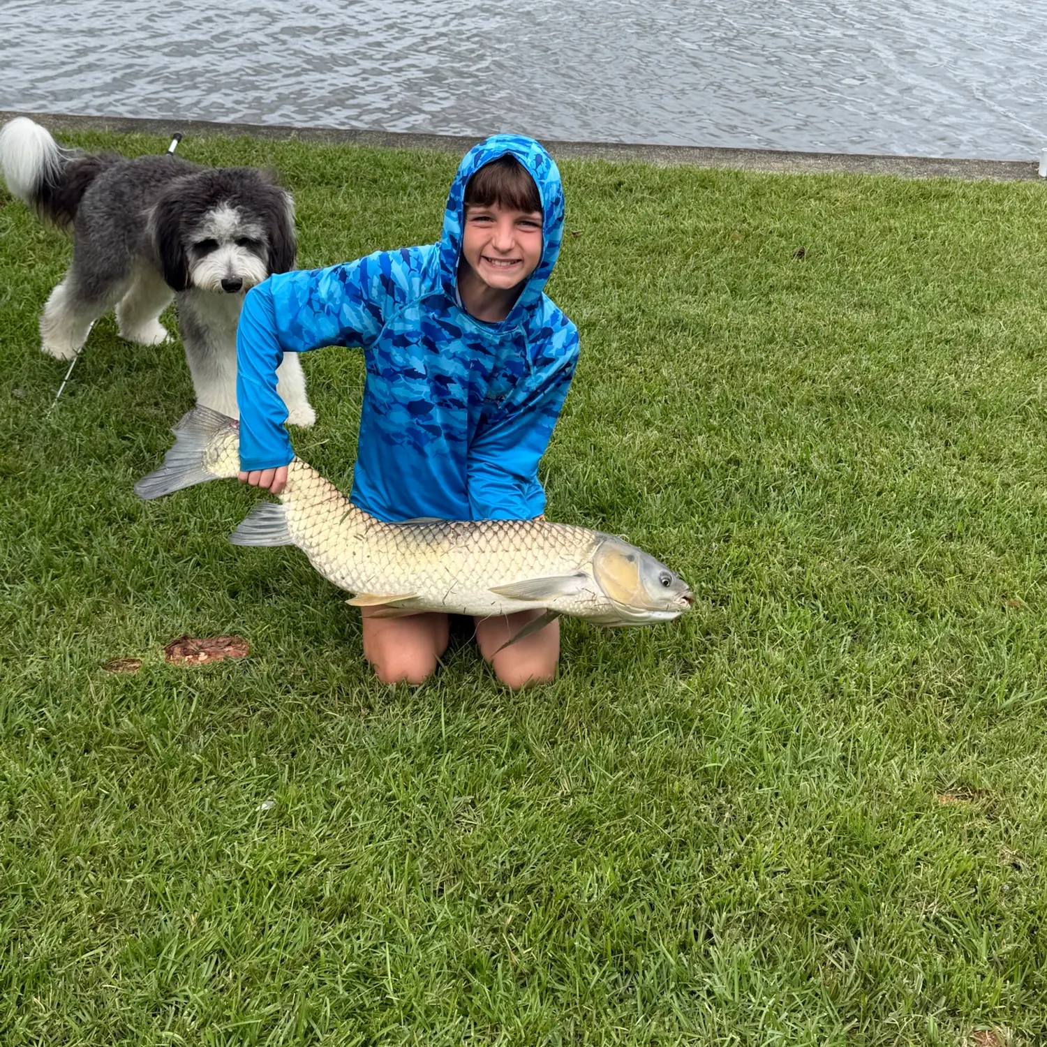 The most recent Grass carp catches on Fishbrain