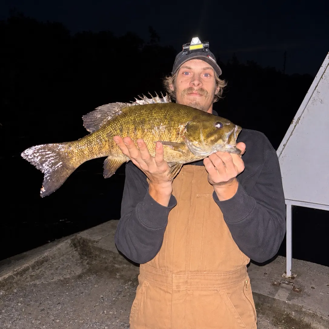 Smallmouth bass caught on Fishbrain