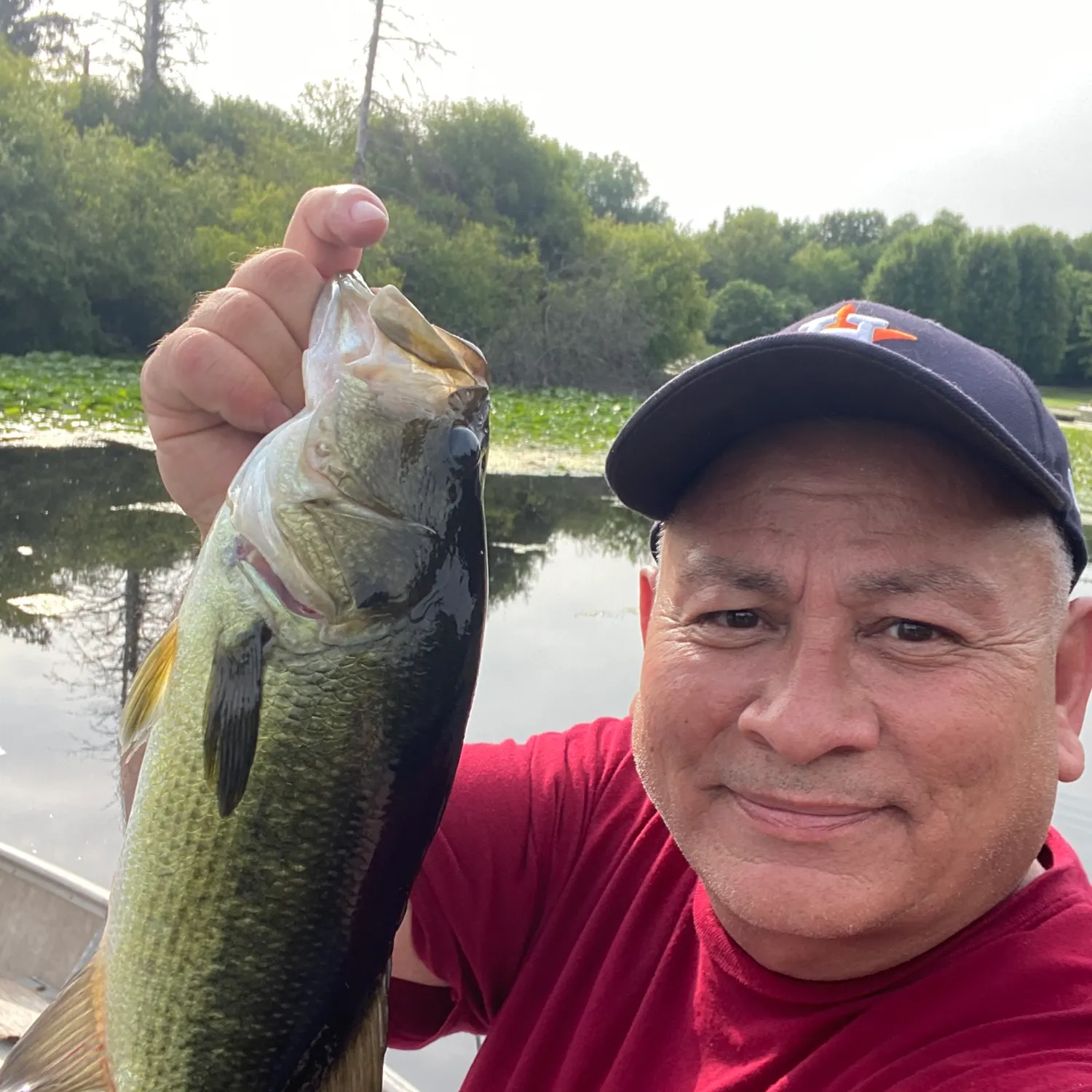 Largemouth bass caught on Fishbrain