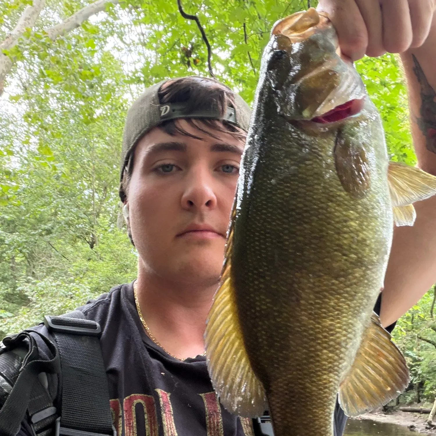 Smallmouth bass caught on Fishbrain