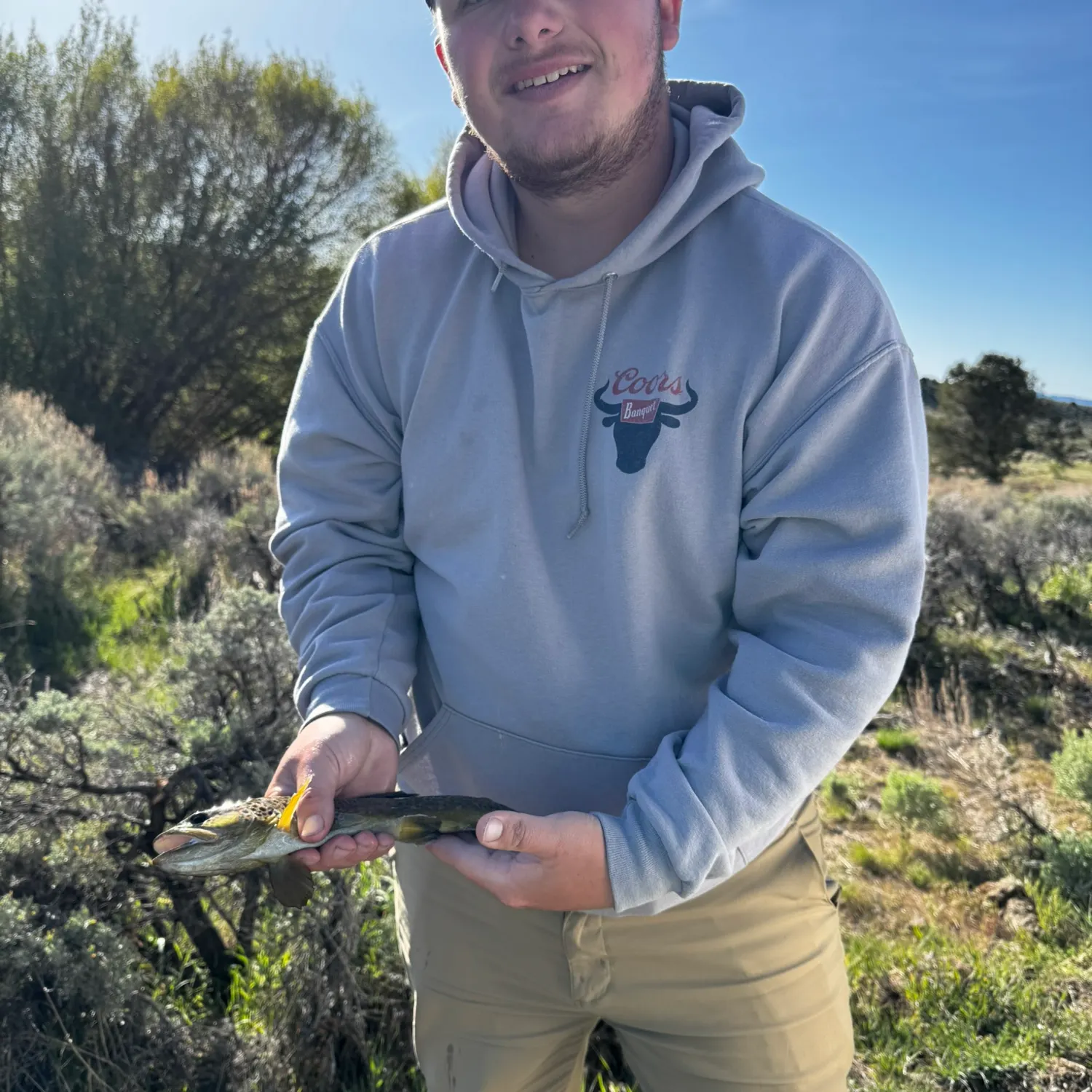 The most recent Brown trout catches on Fishbrain