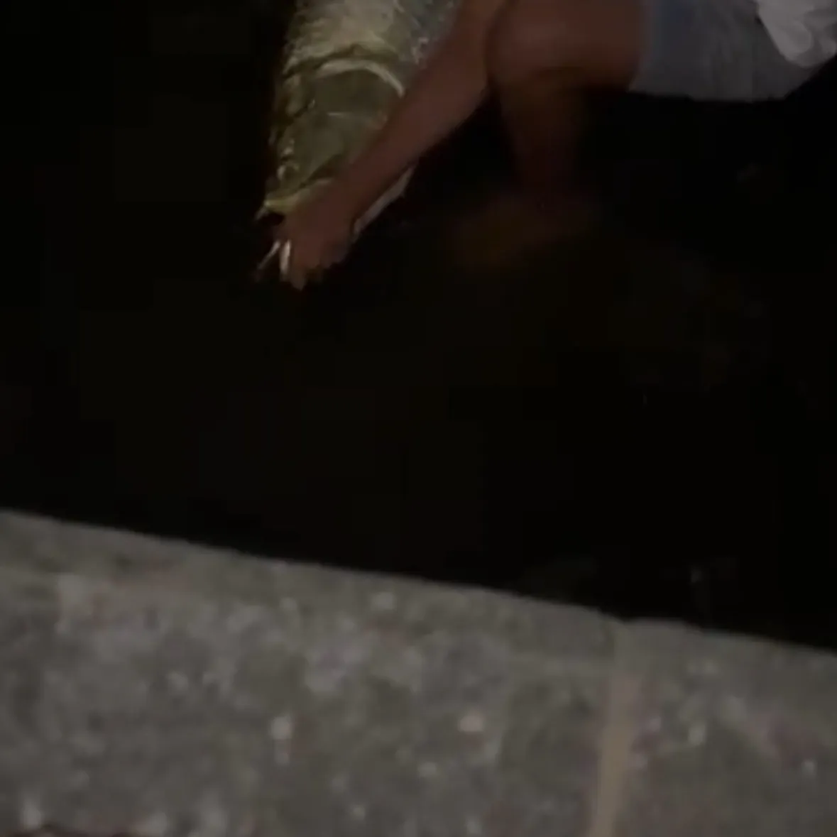 The most recent Tarpon catches on Fishbrain