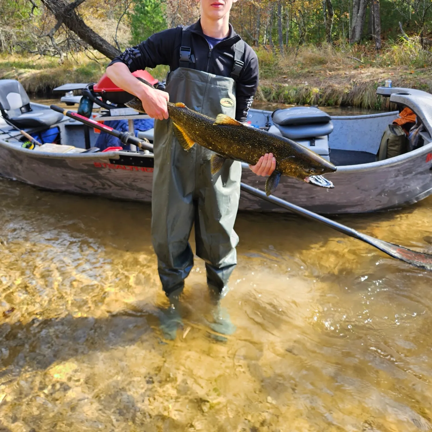 Chinook salmon caught on Fishbrain