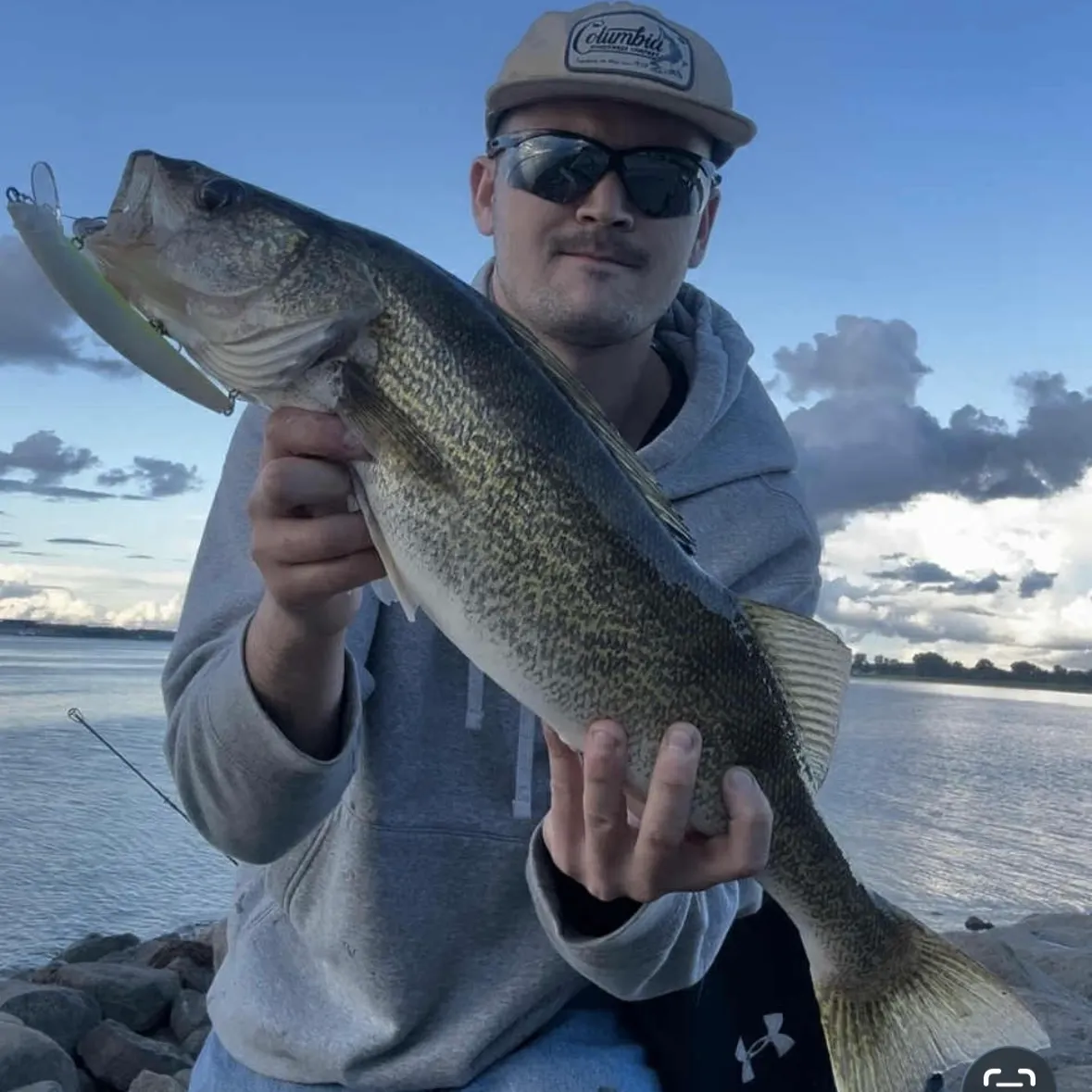 Walleye caught on Fishbrain