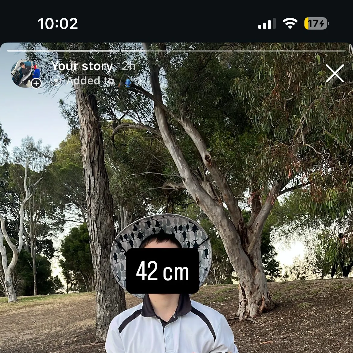 The most recent Common carp catches on Fishbrain