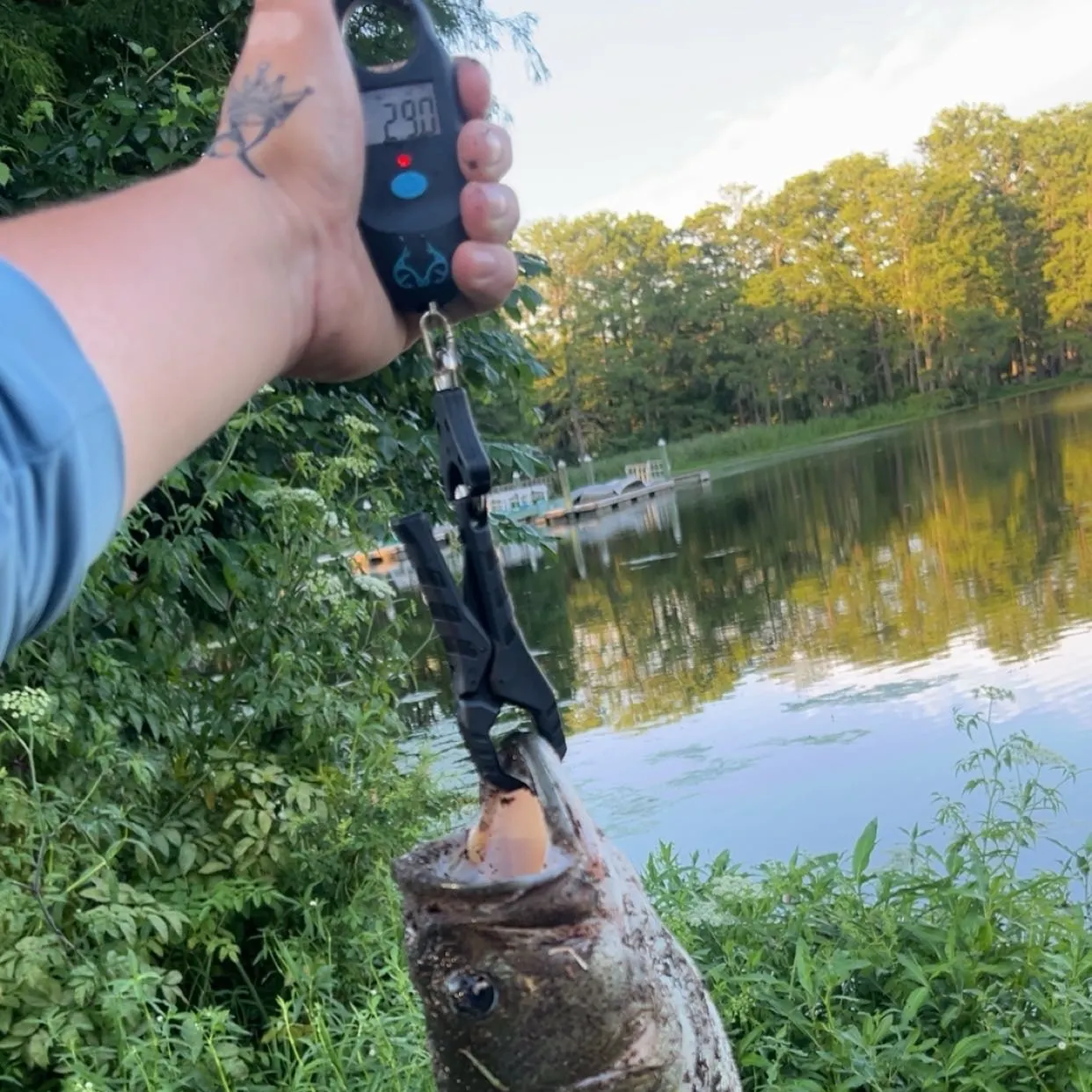 catch