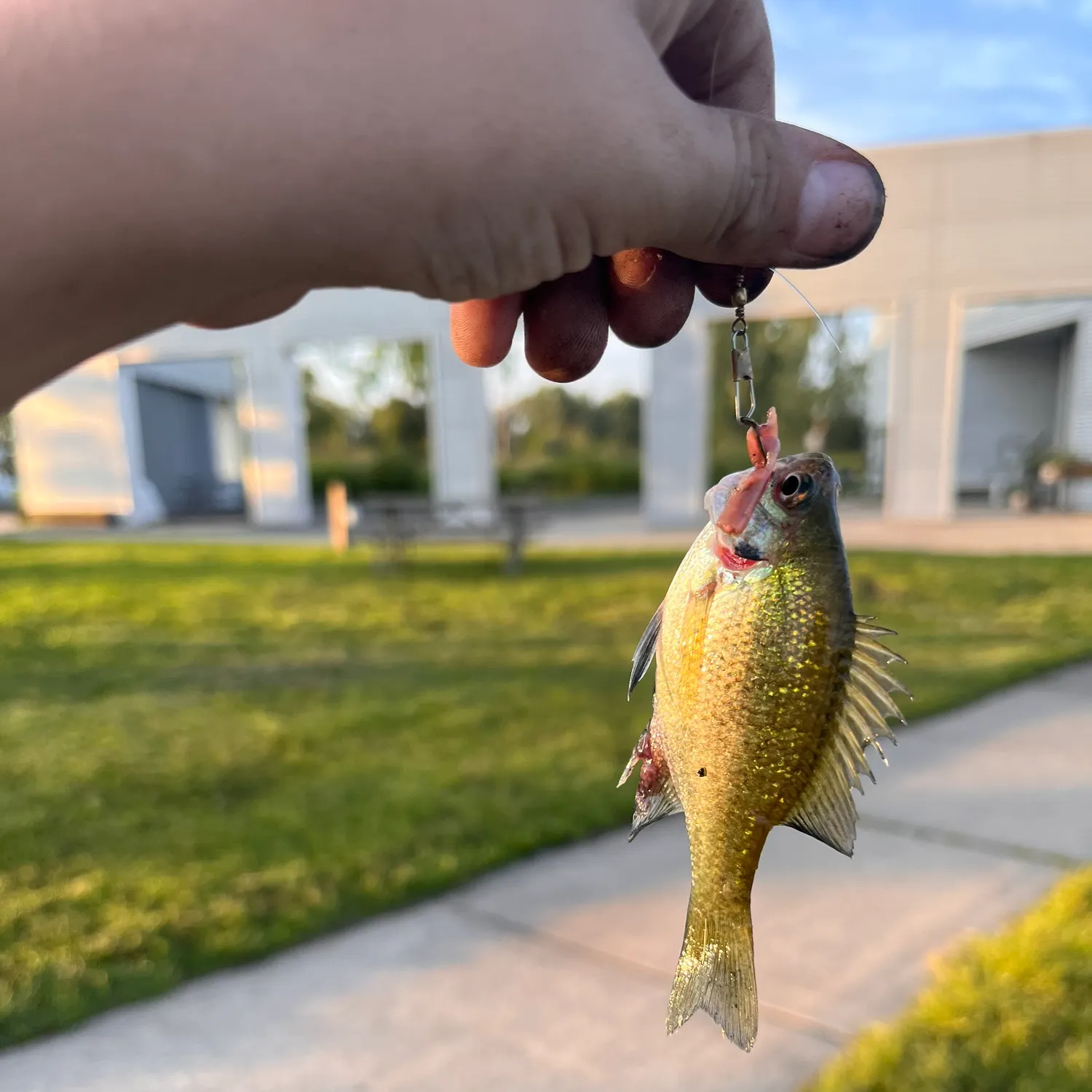 catch