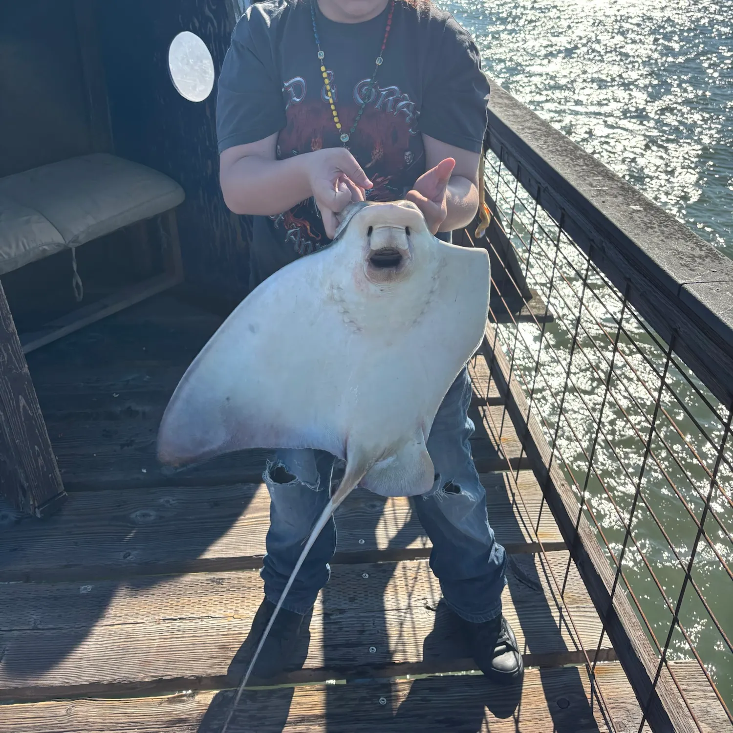 Bat eagle ray caught on Fishbrain