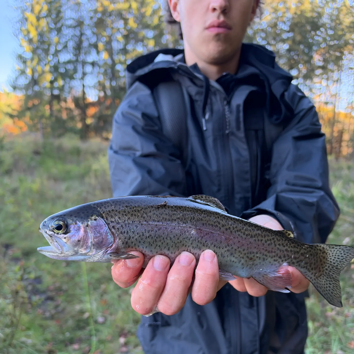 Rainbow trout caught on Fishbrain