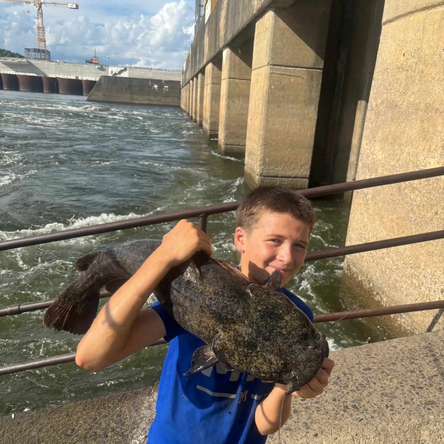 Flathead catfish caught on Fishbrain