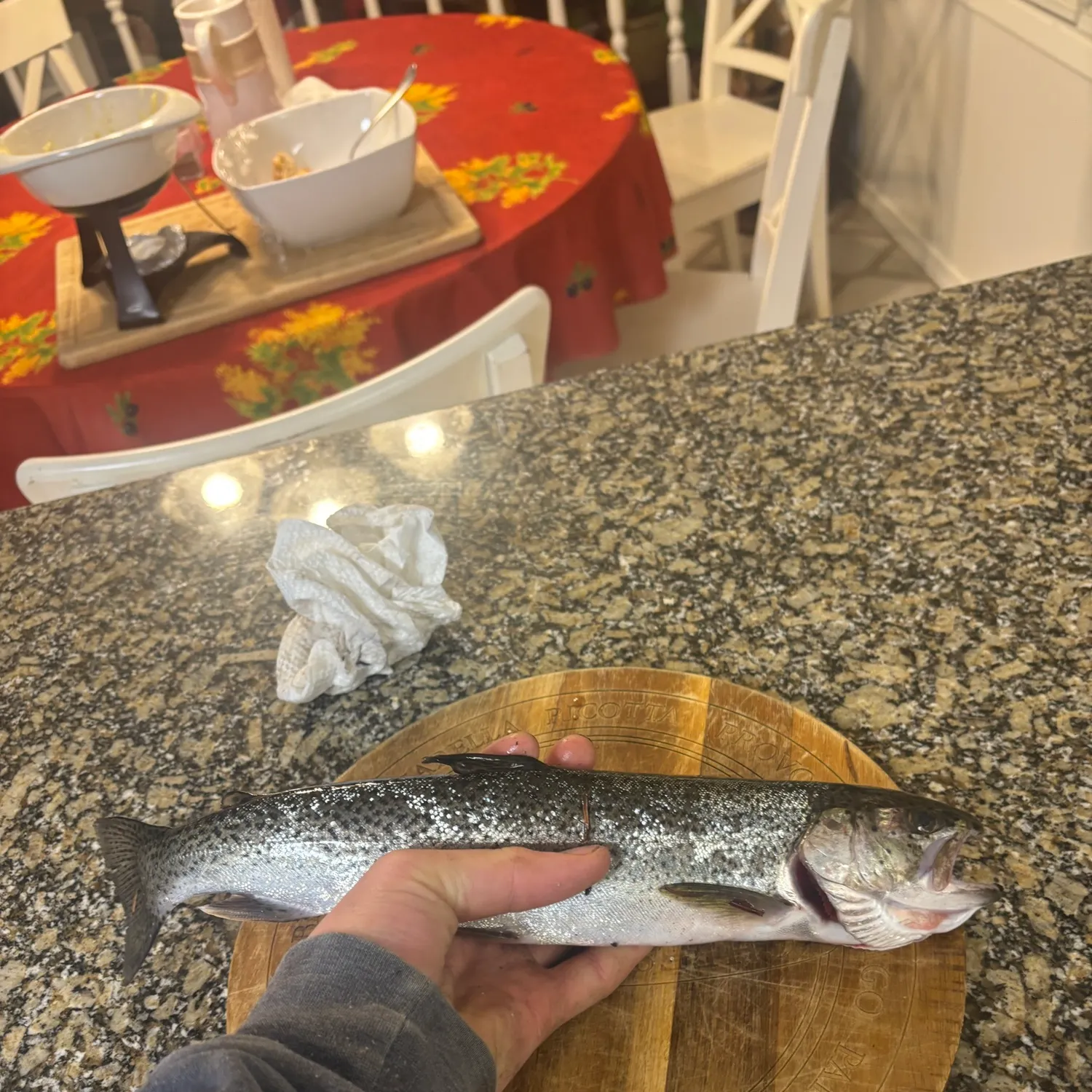 The most recent Coastal cutthroat trout catches on Fishbrain