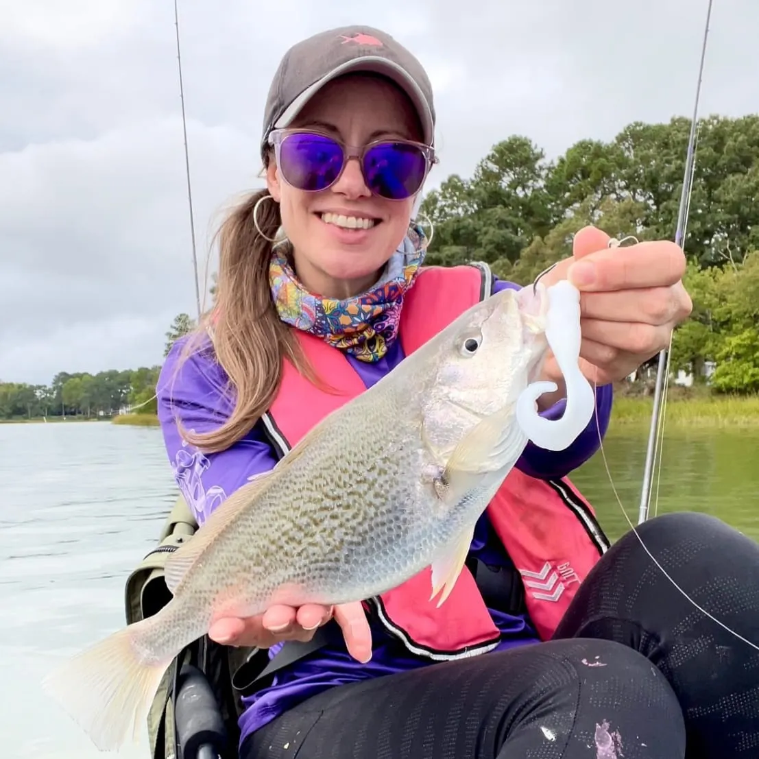 The most recent Atlantic cod catches on Fishbrain