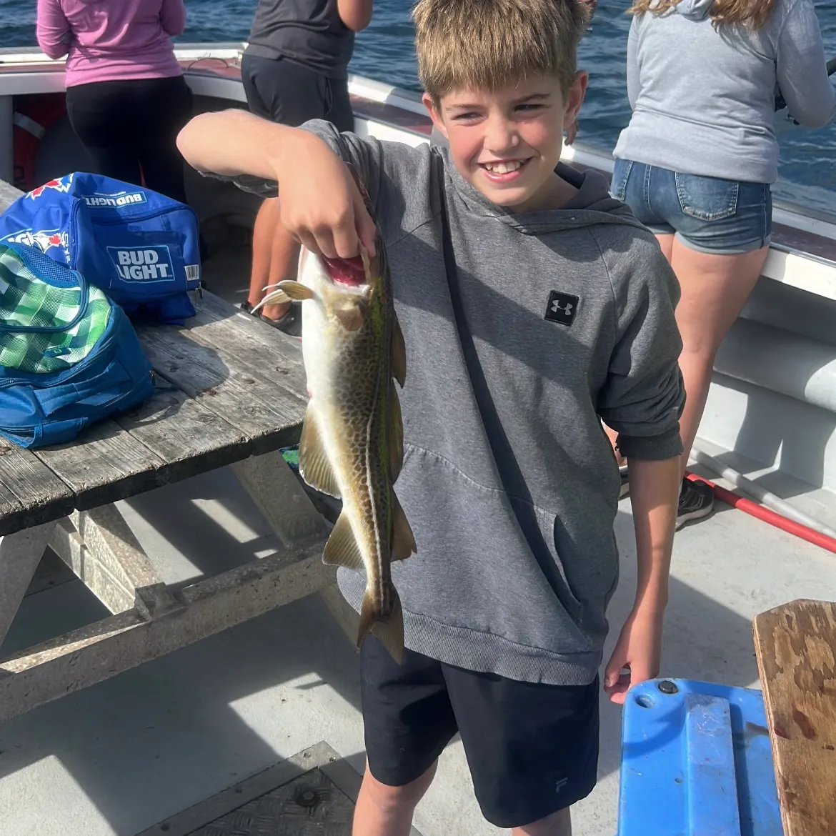 Pacific cod caught on Fishbrain