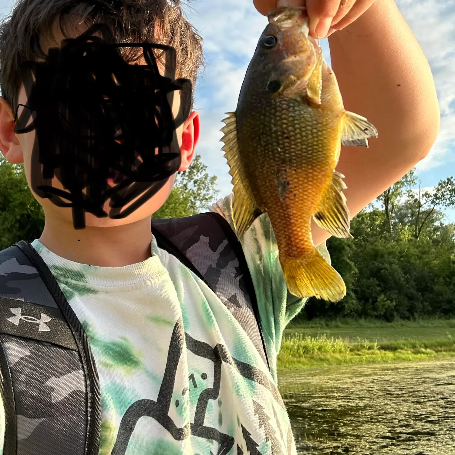 Green sunfish caught on Fishbrain