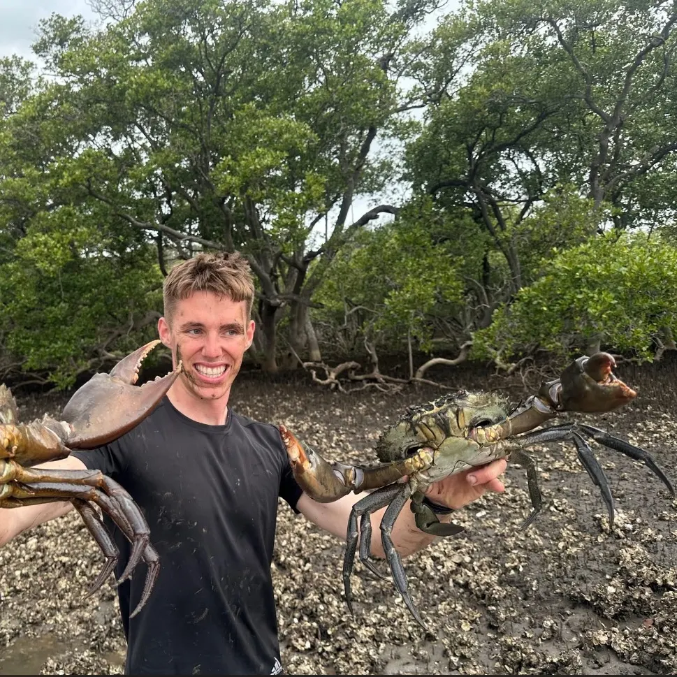 The most recent Giant mud crab catches on Fishbrain