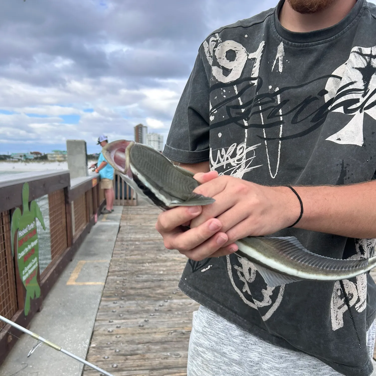 The most recent Common remora catches on Fishbrain