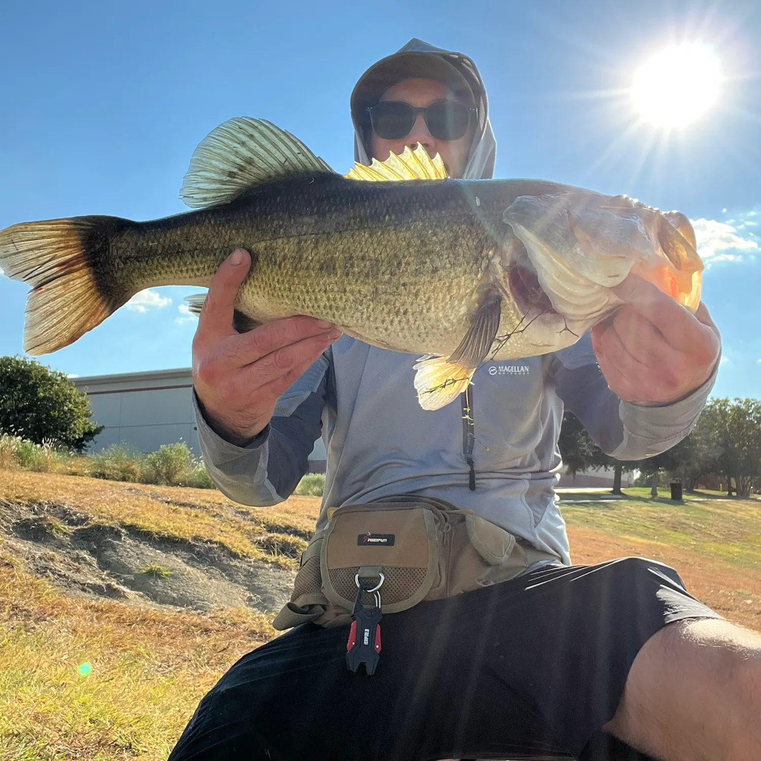 Largemouth bass caught on Fishbrain