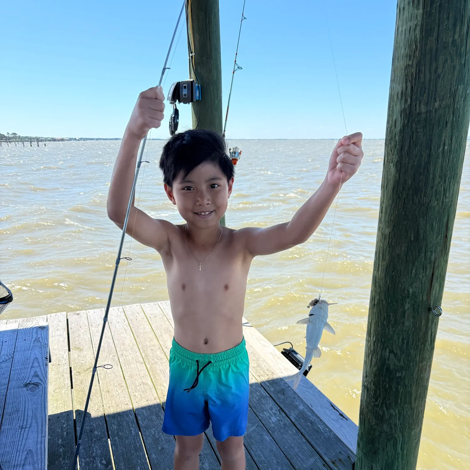 The most recent Coco sea catfish catches on Fishbrain