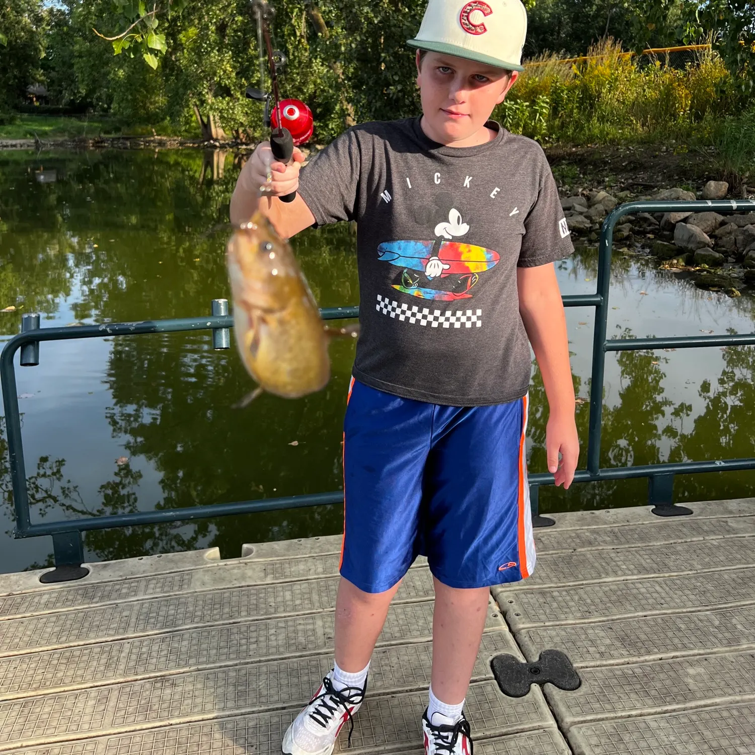 Yellow bullhead caught on Fishbrain