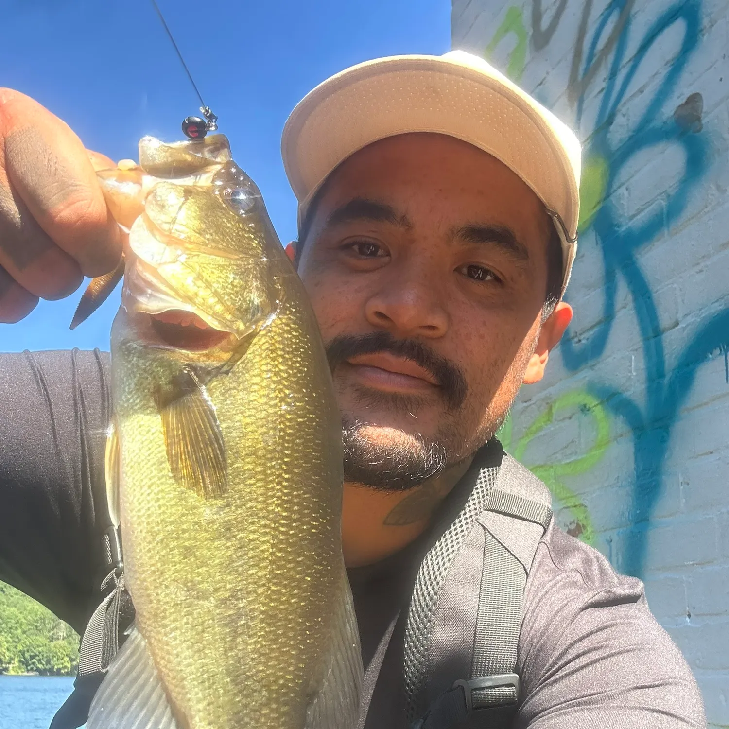 Largemouth bass caught on Fishbrain