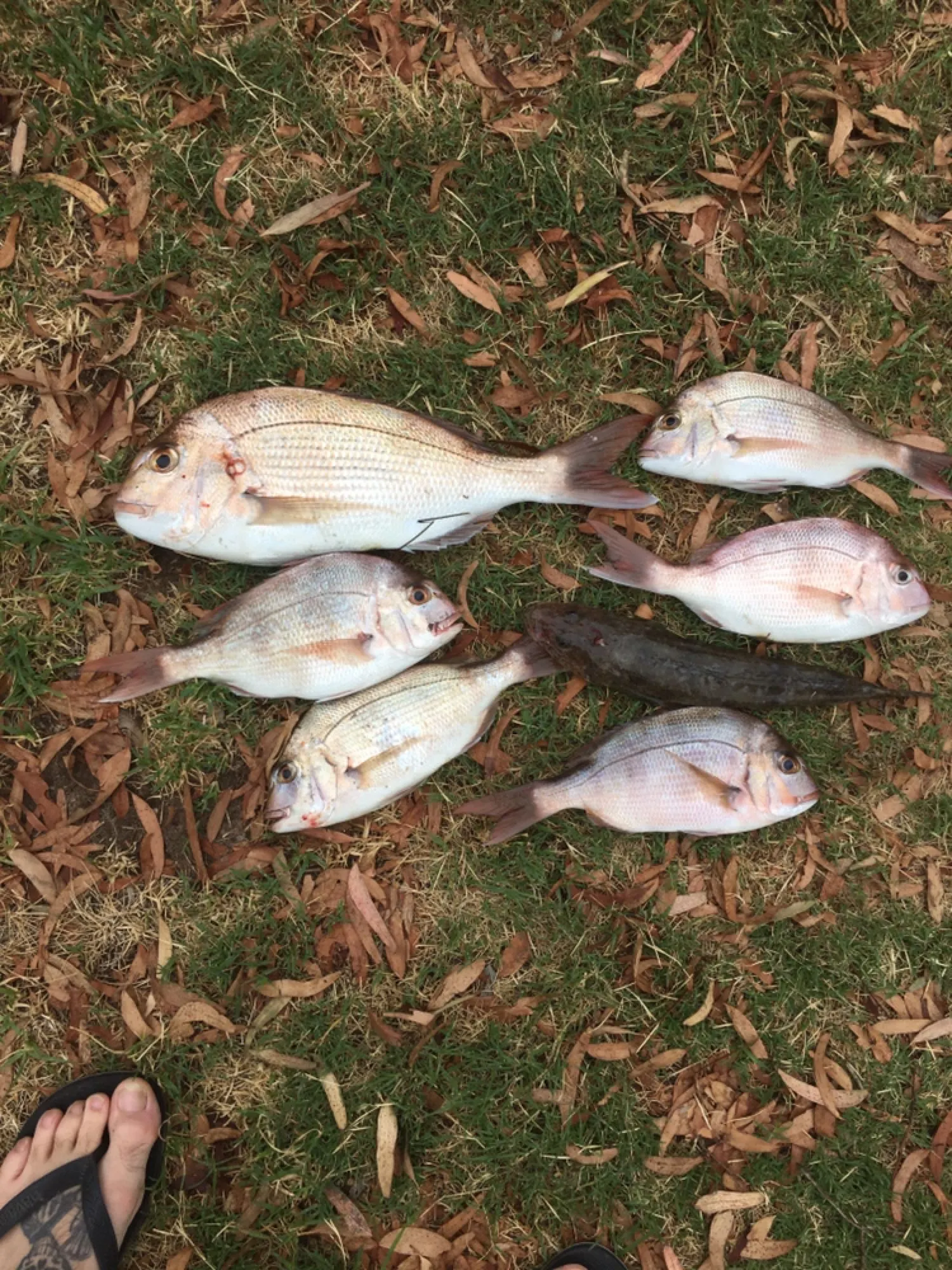 Post image from bthomas8619