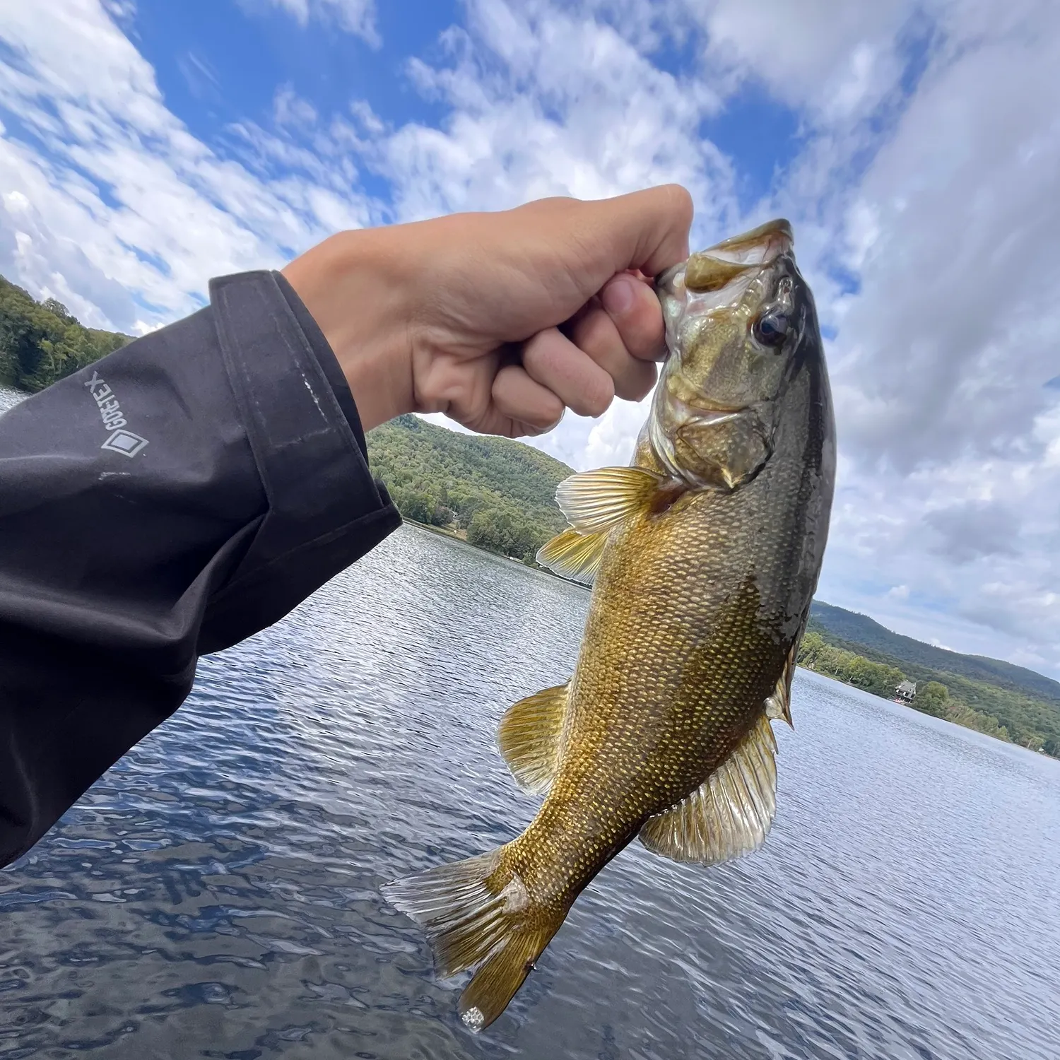 Smallmouth bass caught on Fishbrain